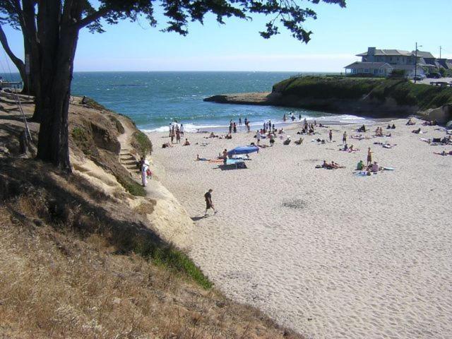 Sunny Cove Motel Capitola Bagian luar foto